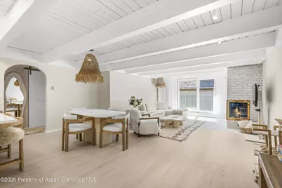 901 E Hyman Avenue #14, Aspen, CO 81611 - Photo 6