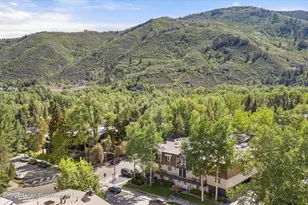 901 E Hyman Ave, Aspen, CO 81611 - Photo 16