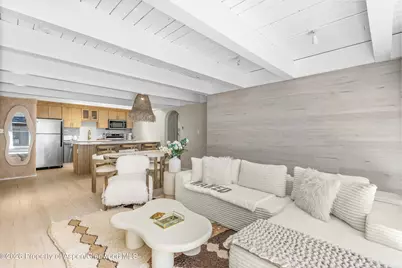 901 E Hyman Avenue #14, Aspen, CO 81611 - Photo 2