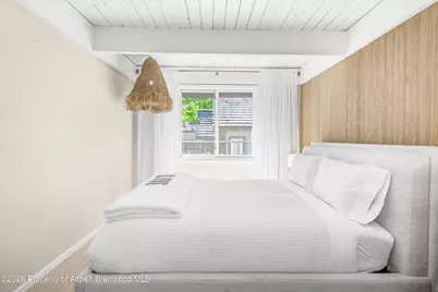 901 E Hyman Avenue #14, Aspen, CO 81611 - Photo 10