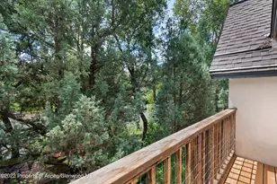 180 River Oaks Ln, Basalt, CO 81621 - Photo 28