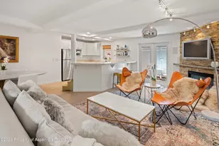 960 E Durant Ave, Aspen, CO 81611 - Photo 8