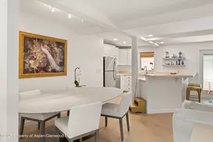 960 E Durant Ave, Aspen, CO 81611 - Photo 14