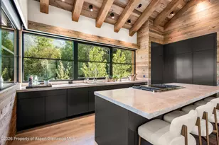 96 McSkimming Rd, Aspen, CO 81611 - Photo 12