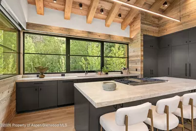 96 McSkimming Road, Aspen, CO 81611 - Photo 14