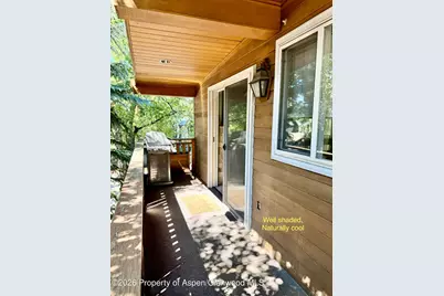 805 E Cooper Avenue #12, Aspen, CO 81611 - Photo 12