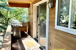 805 E Cooper Ave, Aspen, CO 81611 - Photo 12