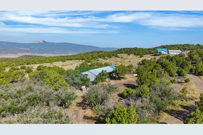 50208 Coon Creek Road, Mesa, CO 81643 - Photo 4
