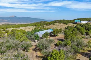 50208 Coon Creek Rd, Mesa, CO 81643 - Photo 4