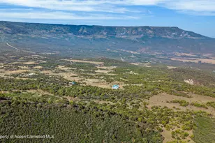50208 Coon Creek Rd, Mesa, CO 81643 - Photo 30