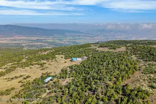 50208 Coon Creek Rd, Mesa, CO 81643 - Photo 28