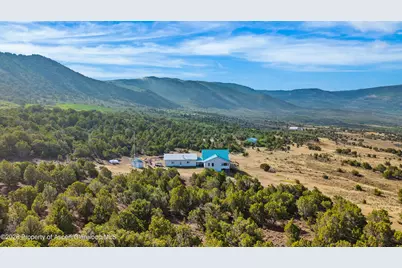 50208 Coon Creek Road, Mesa, CO 81643 - Photo 12