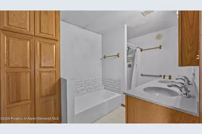 50208 Coon Creek Road, Mesa, CO 81643 - Photo 10