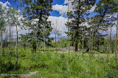 Tbd 1Tt Road, Gunnison, CO 81230 - Photo 34