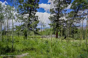 Tbd 1Tt Rd, Gunnison, CO 81230 - Photo 34