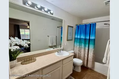 571 River View Drive #1202, New Castle, CO 81647 - Photo 12