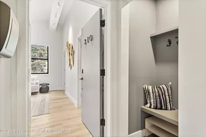 220 W Main Street #201, Aspen, CO 81611 - Photo 12