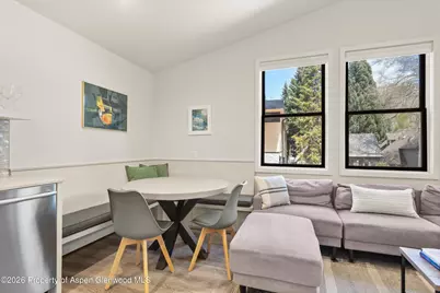 220 W Main Street #201, Aspen, CO 81611 - Photo 4