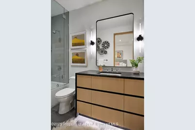 810 W Smuggler Street, Aspen, CO 81611 - Photo 38