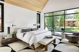 810 W Smuggler St, Aspen, CO 81611 - Photo 20