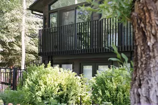 950 E Durant Ave, Aspen, CO 81611 - Photo 4