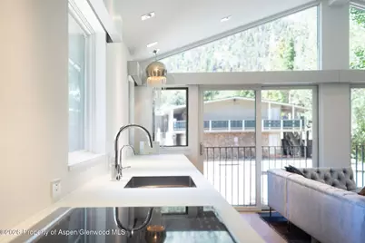 950 E Durant Avenue #4, Aspen, CO 81611 - Photo 10
