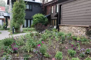 950 E Durant Ave, Aspen, CO 81611 - Photo 30