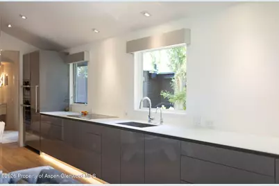 950 E Durant Avenue #4, Aspen, CO 81611 - Photo 14