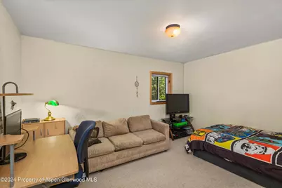 71 Aspen Street, Carbondale, CO 81623 - Photo 16