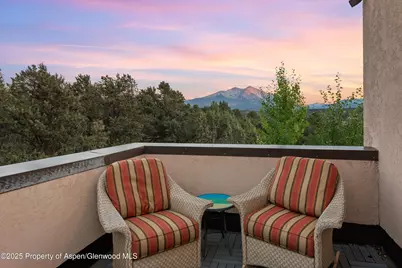 384 Wooden Deer Road, Carbondale, CO 81623 - Photo 28