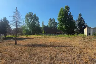 1531 Colorado 133, Carbondale, CO 81623 - Photo 10