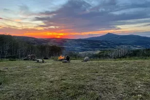 943 Routt Forest Dr, Craig, CO 81625 - Photo 10