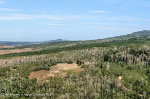 943 Routt Forest Dr, Craig, CO 81625 - Photo 60