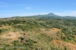 943 Routt Forest Dr, Craig, CO 81625 - Photo 56