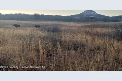 943 Routt Forest Drive, Craig, CO 81625 - Photo 8