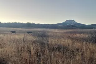 943 Routt Forest Dr, Craig, CO 81625 - Photo 8