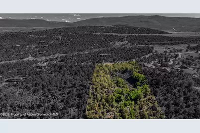 301 Pinion Drive, Glenwood Springs, CO 81601 - Photo 6