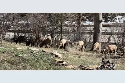 55857 Hwy 6 & 24, Glenwood Springs, CO 81601 - Photo 14