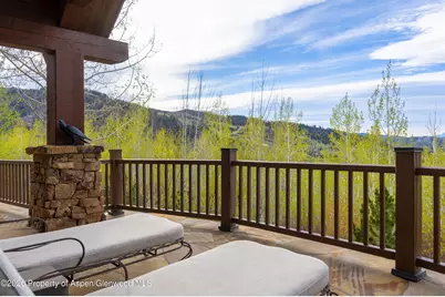 56 Five Trees Lane, Aspen, CO 81611 - Photo 36