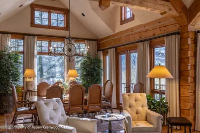 56 Five Trees Lane, Aspen, CO 81611 - Photo 14