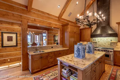 56 Five Trees Lane, Aspen, CO 81611 - Photo 16