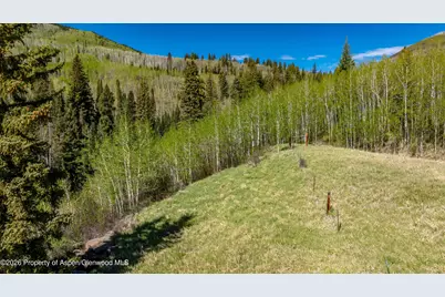 Tbd Forest Service Road 300 #Pond, Glenwood Springs, CO 81601 - Photo 2