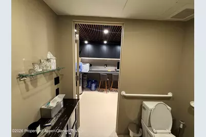 520 E Durant Avenue #102, Aspen, CO 81611 - Photo 10
