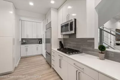 736 W Smuggler Street #B, Aspen, CO 81611 - Photo 20
