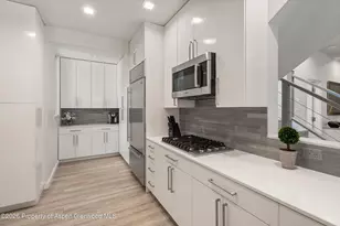 736 W Smuggler St, Aspen, CO 81611 - Photo 20