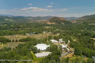 736 W Smuggler St, Aspen, CO 81611 - Photo 54