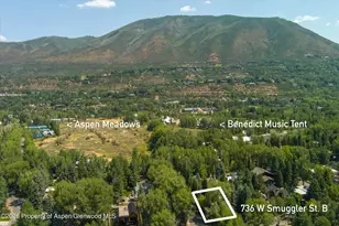 736 W Smuggler St, Aspen, CO 81611 - Photo 54