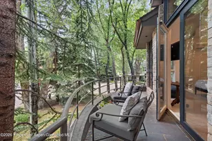 736 W Smuggler St, Aspen, CO 81611 - Photo 34