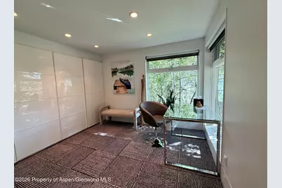 602 Mountain Laurel Drive, Aspen, CO 81611 - Photo 22