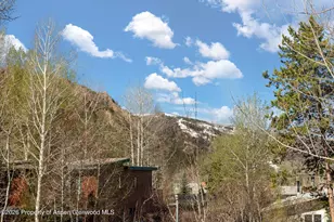 534 and 53 Spruce St, Aspen, CO 81611 - Photo 30